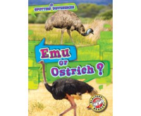 Emu_or_Ostrich_
